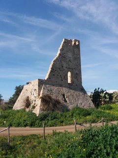 Torre Scibini